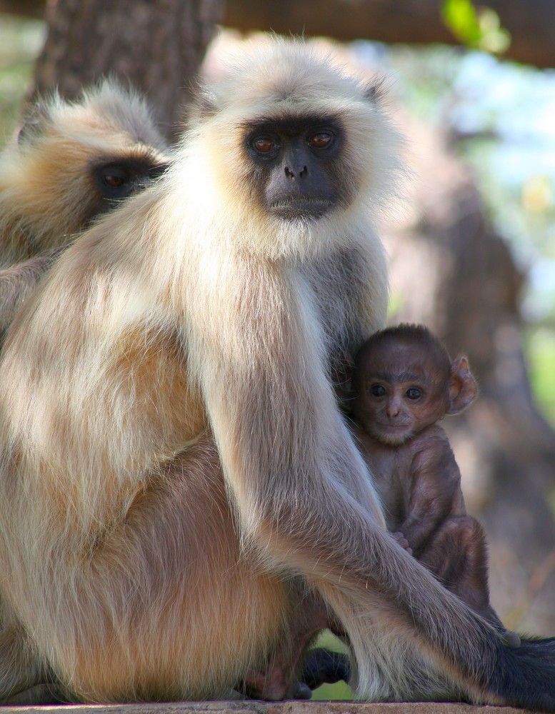 Photograph by PERESHEIN ANDREY