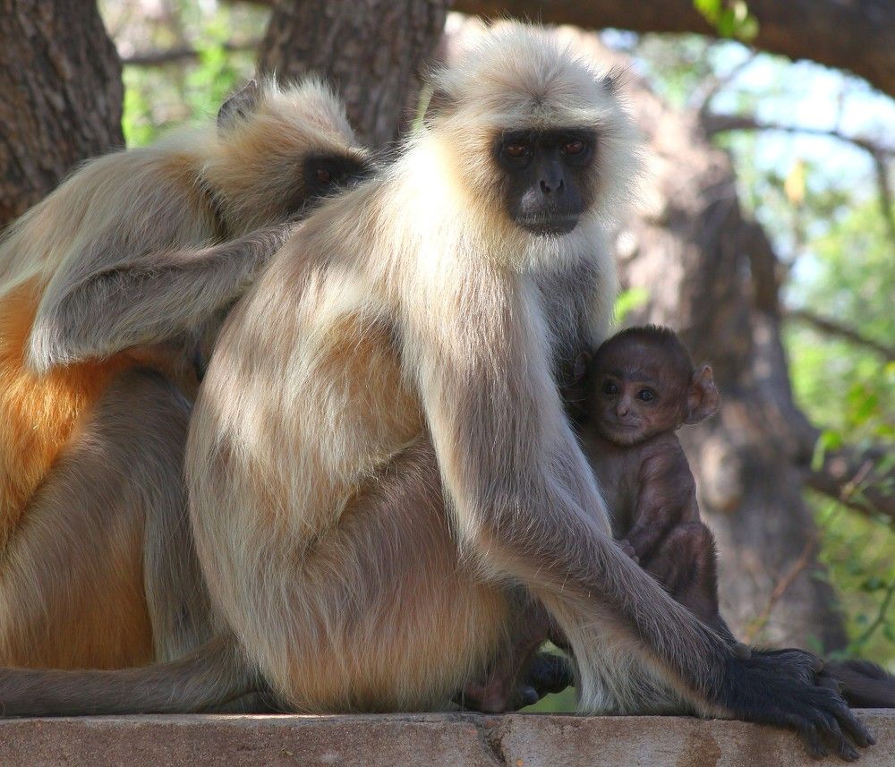 Photograph by PERESHEIN ANDREY