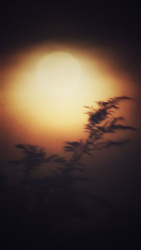 Photograph by Suksiri Natcha