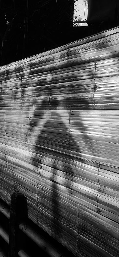 Photograph by Suksiri Natcha