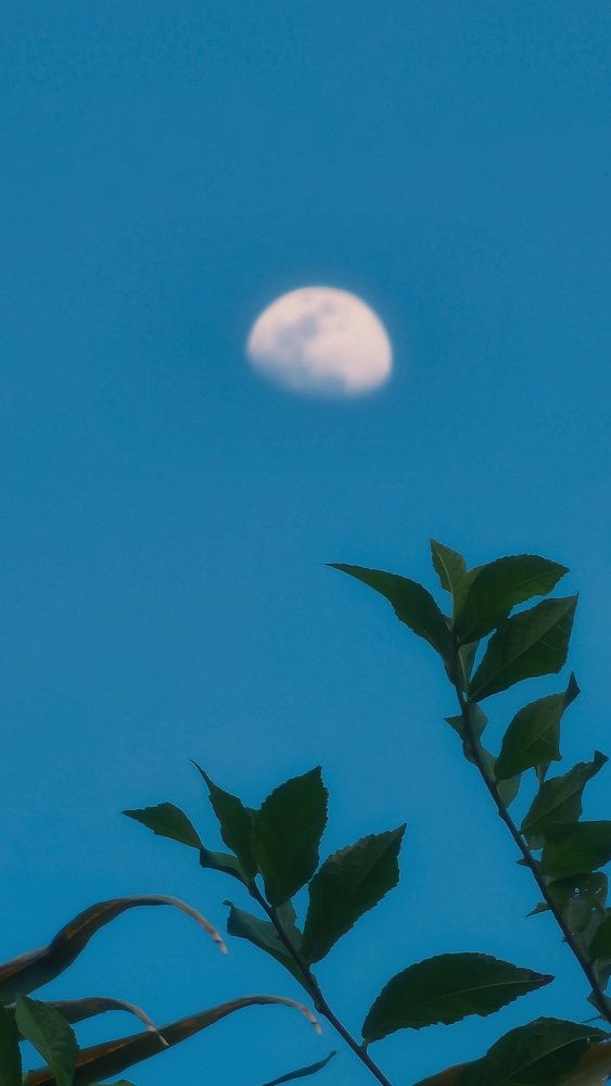 Photograph by Suksiri Natcha