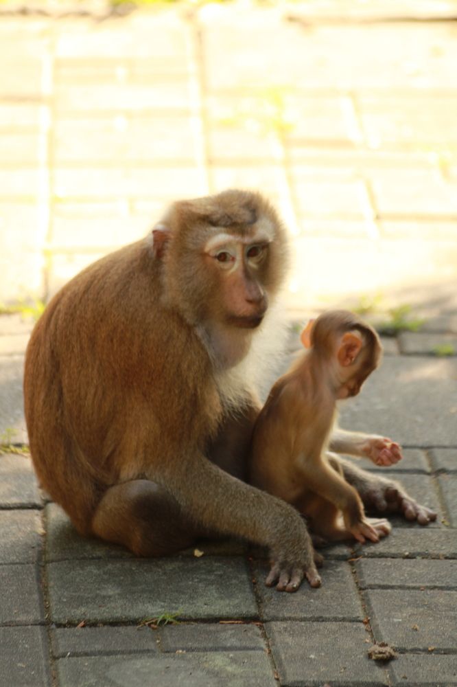 Photograph by Игорь Симонов