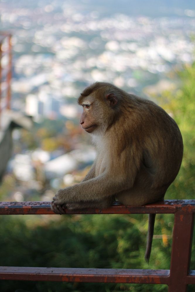 Photograph by Игорь Симонов