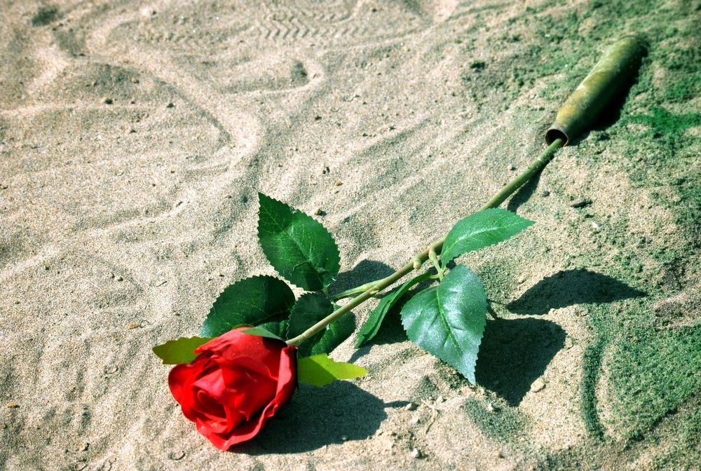 Photograph by الساعدي غيث