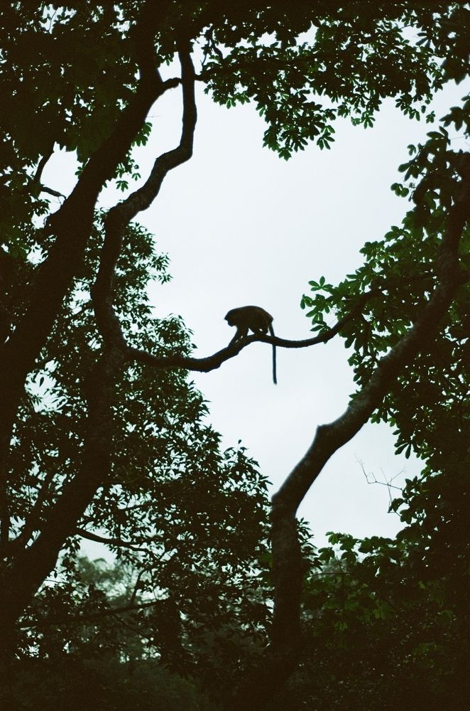 Photograph by Nadincca