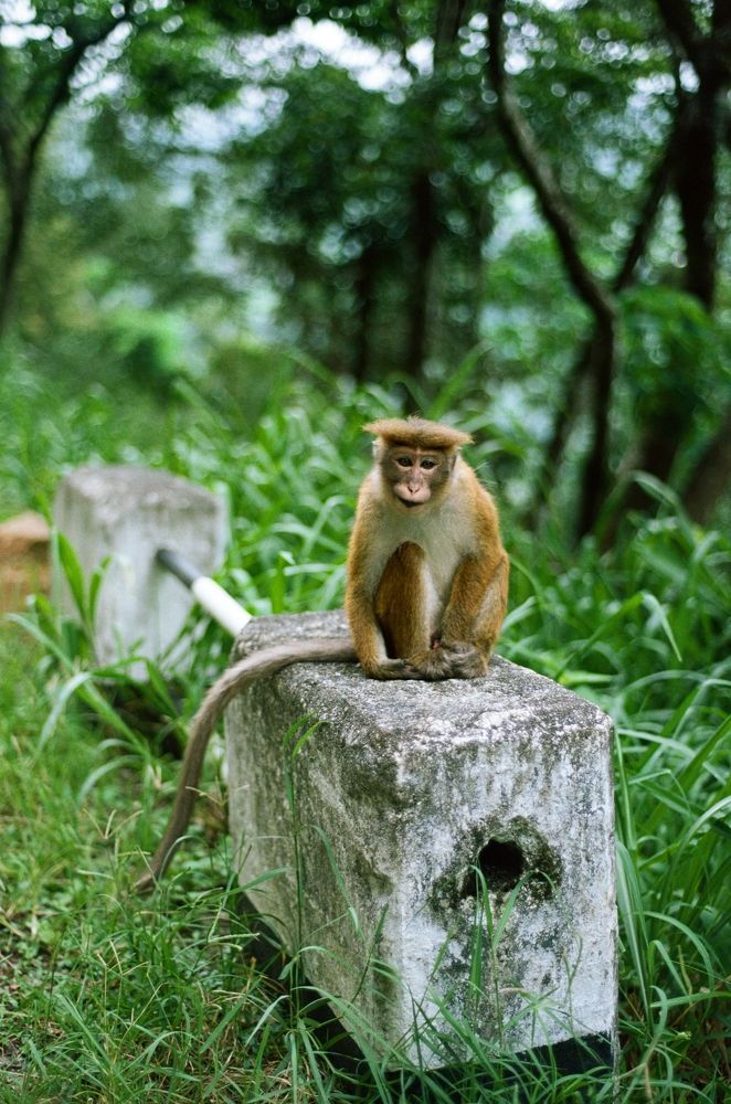 Photograph by Nadincca