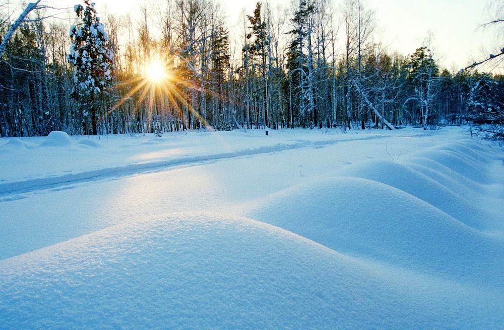 Photograph by Еловиков Олег