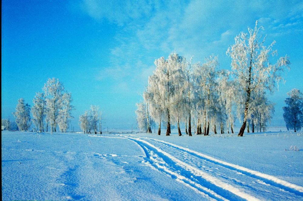 Photograph by Еловиков Олег