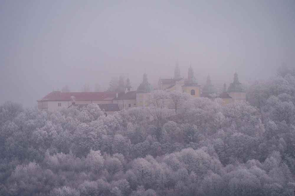 Photograph by Luis Francisco Bravo Olazabal