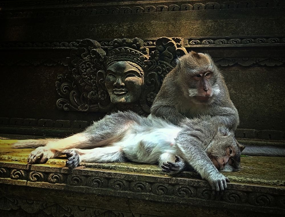 Photograph by Кирилл Леднев