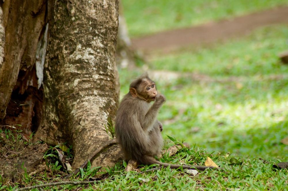 Photograph by Ambewadikar sourabh