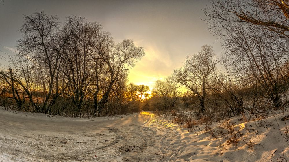 Photograph by Aleksandr Solovev