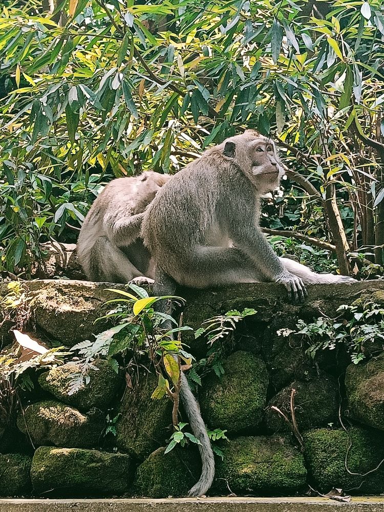 Photograph by Кирилл Леднев