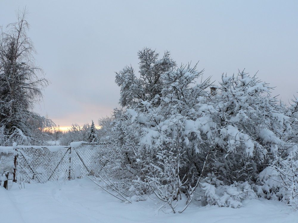 Photograph by Анастасия Бородина