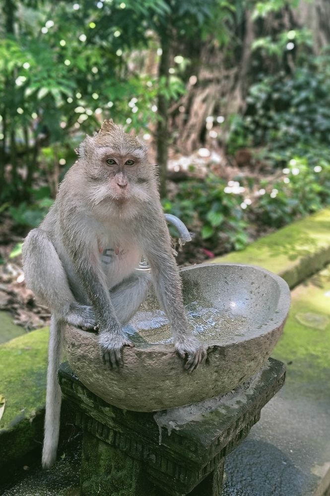 Photograph by Кирилл Леднев