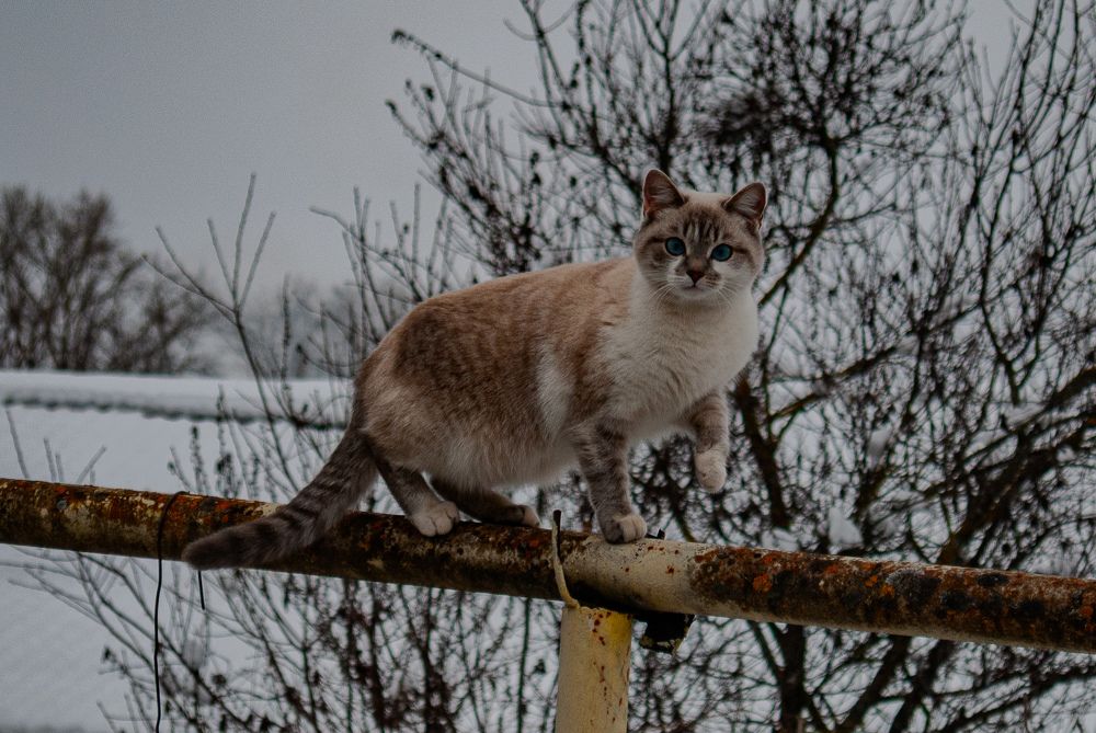 Photograph by Сергей Евсеев