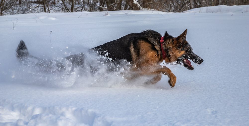 Photograph by Александр Евгеньевич Есликов