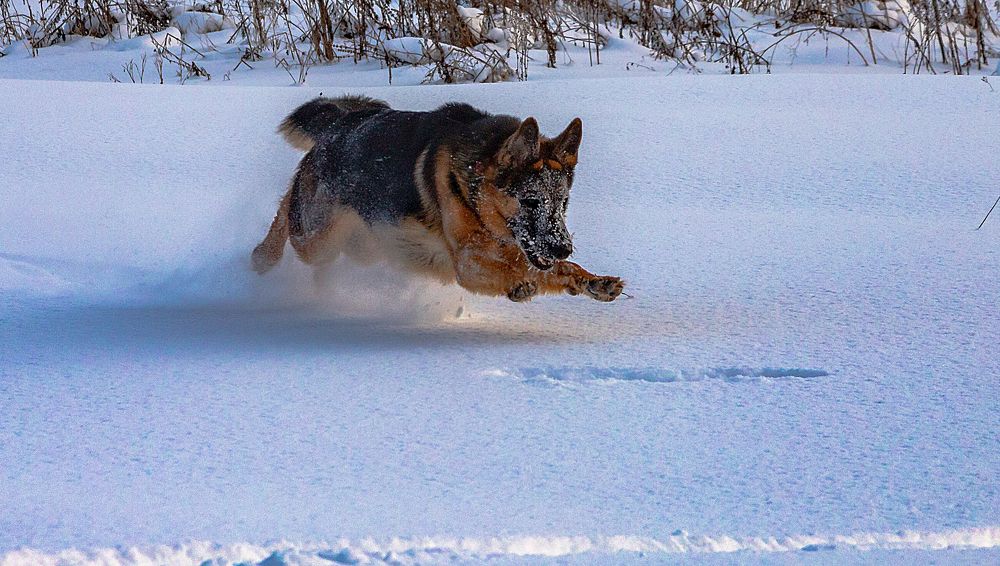 Photograph by Александр Евгеньевич Есликов