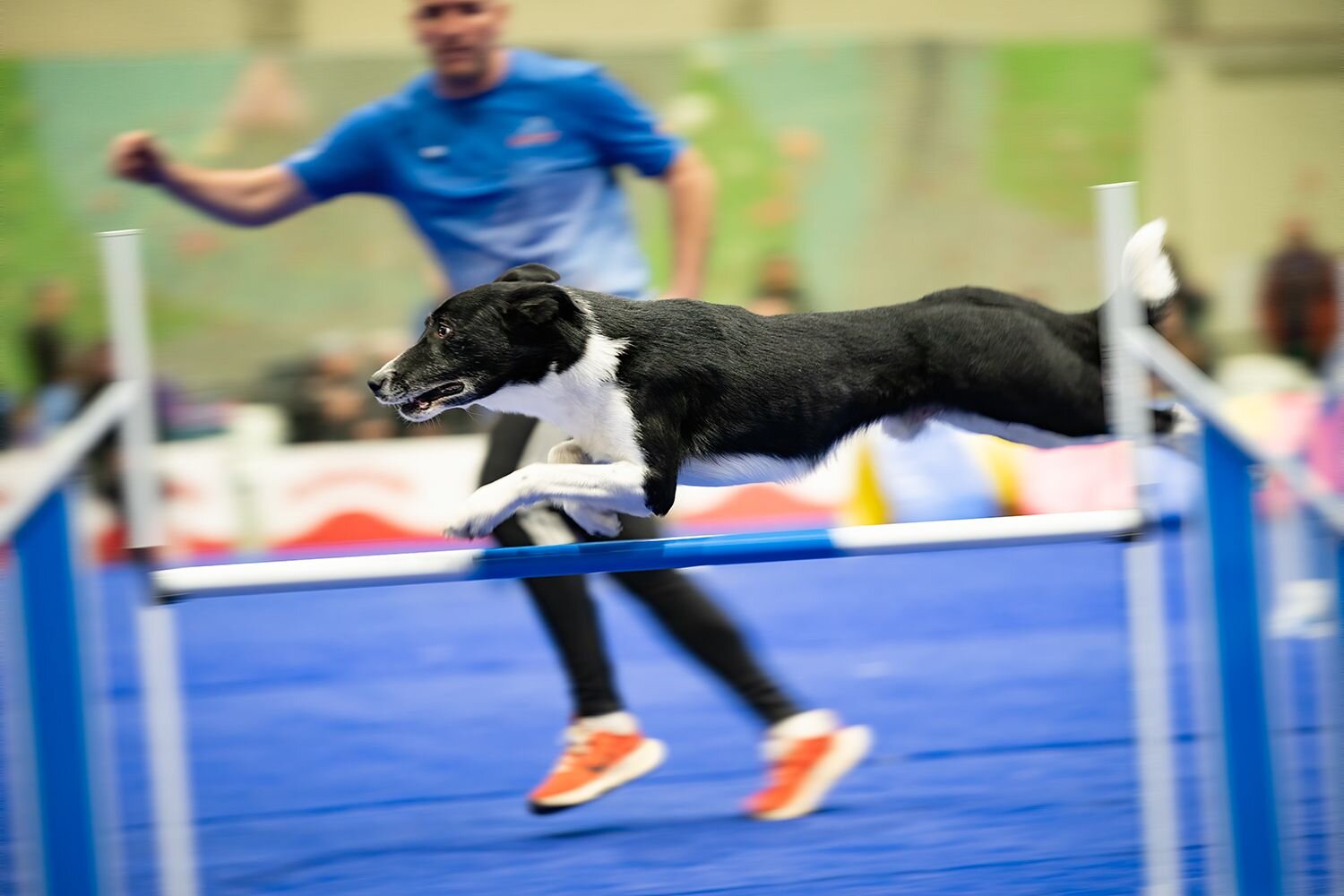 Photo #11710788