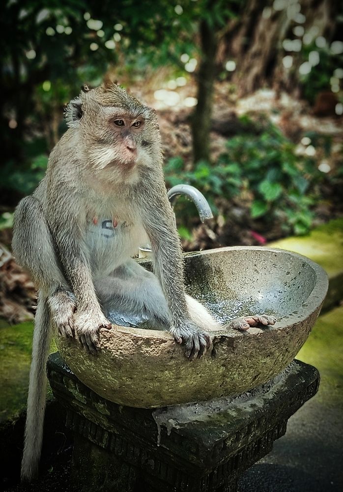 Photograph by Кирилл Леднев