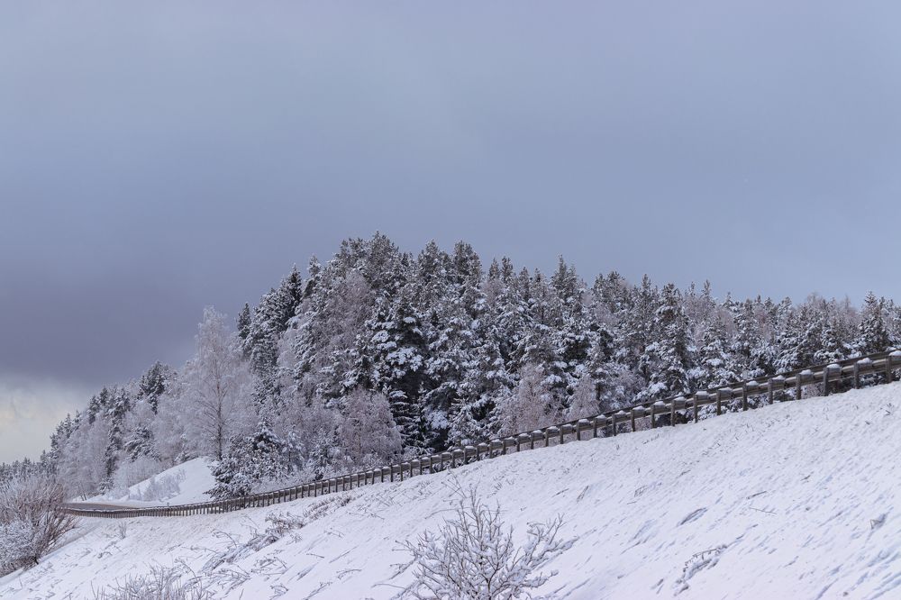 Photograph by Сергей Зайцев