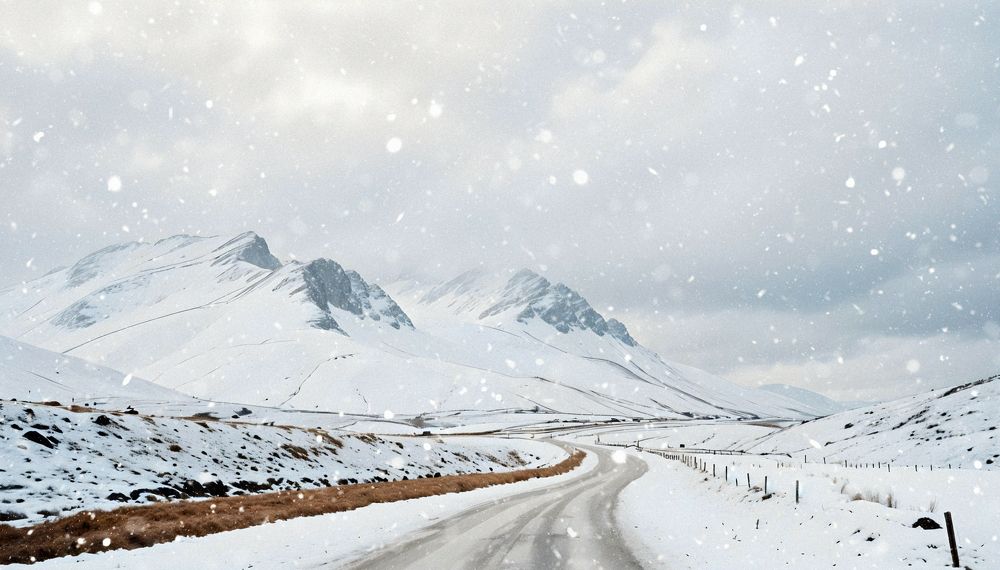 Photograph by Alex Belov