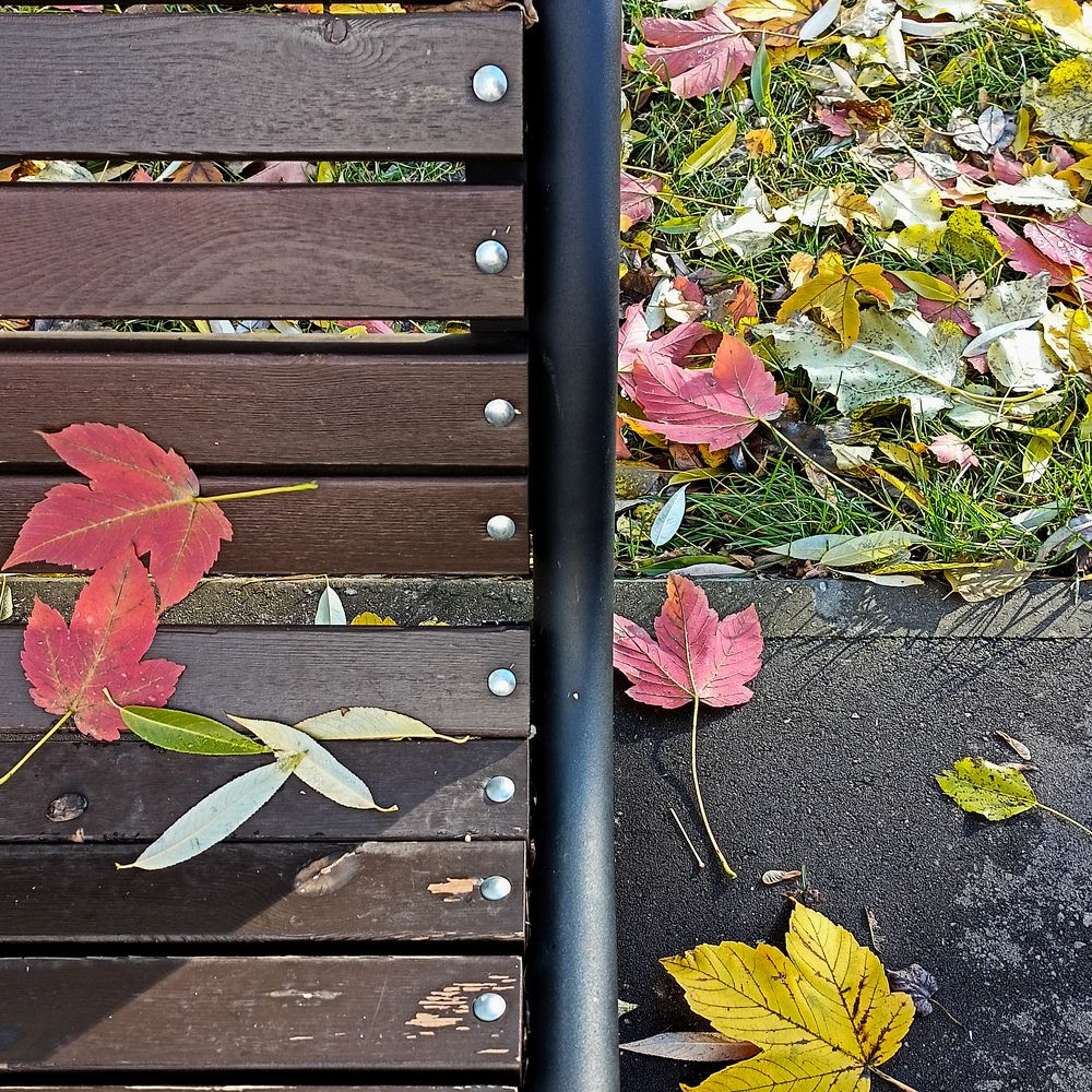 Photo #11710869