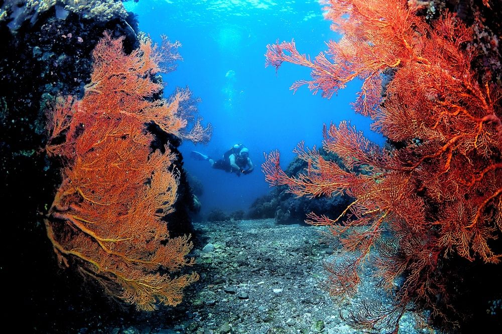 Photograph by Penn De Los Santos