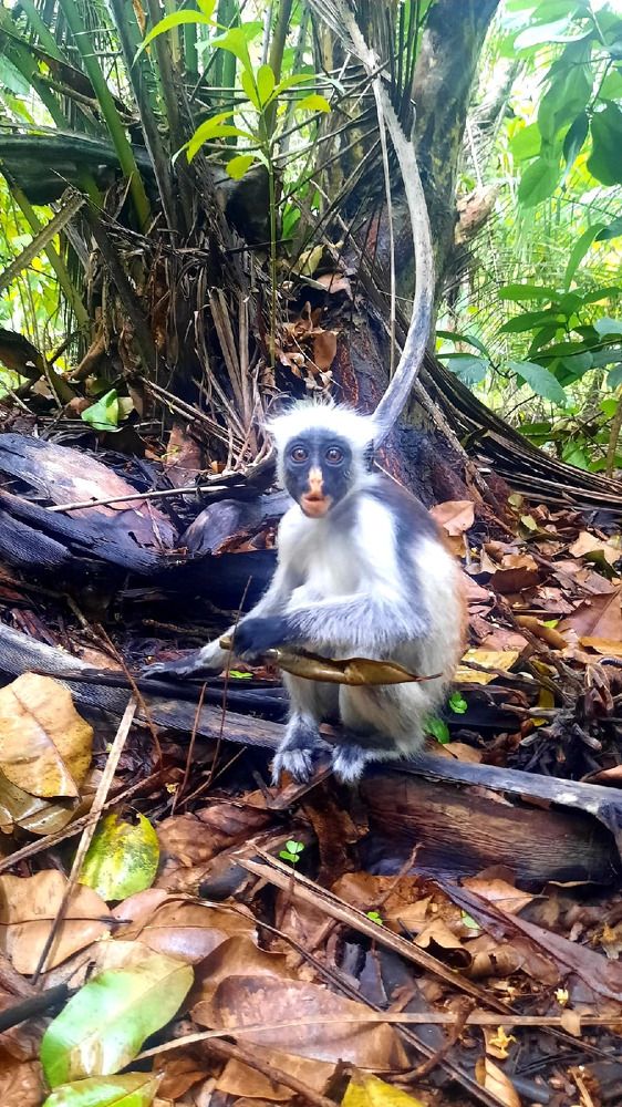 Photograph by Ольга Чибисова