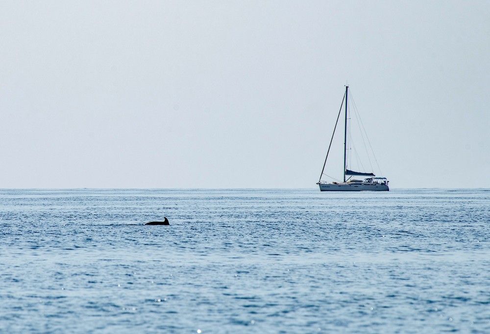 Photograph by Сиваков Алексей