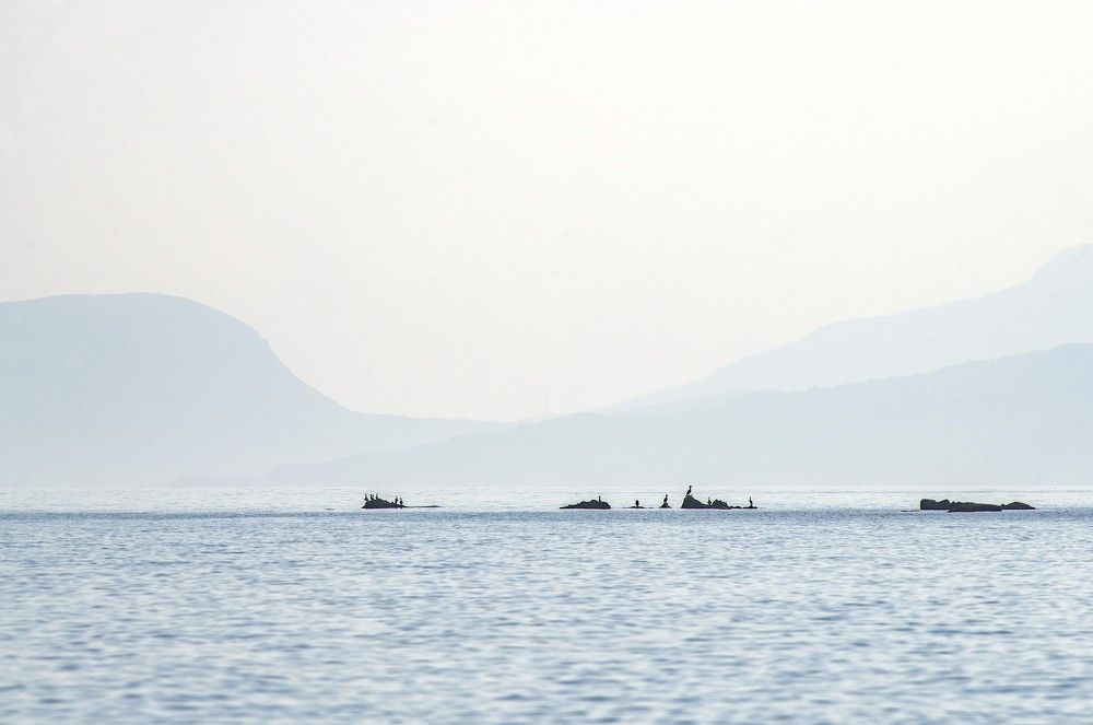 Photograph by Сиваков Алексей