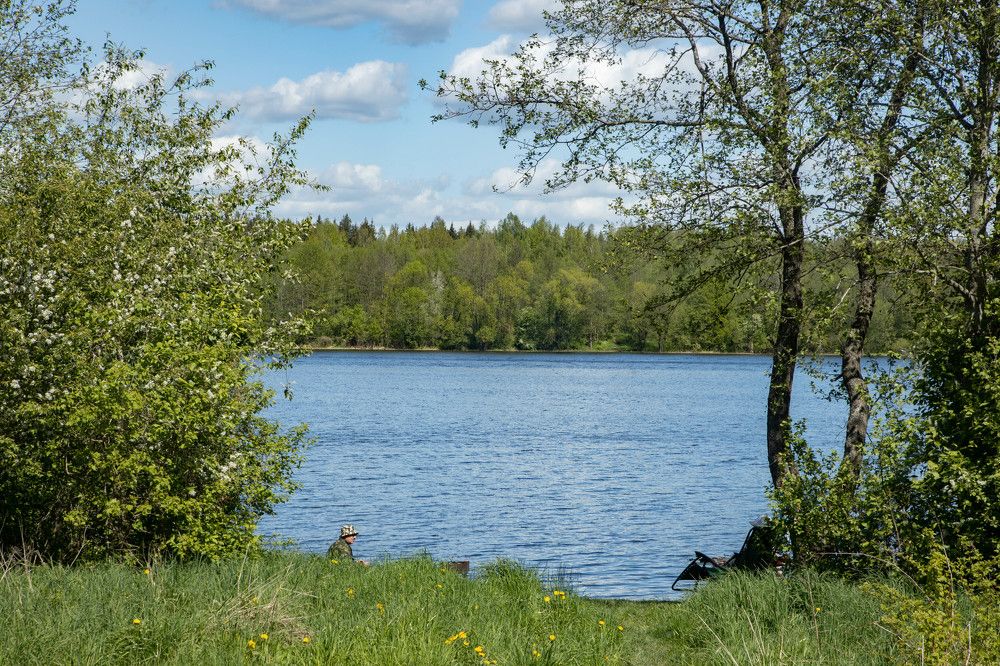 Фотография автора Екатерина Счасная