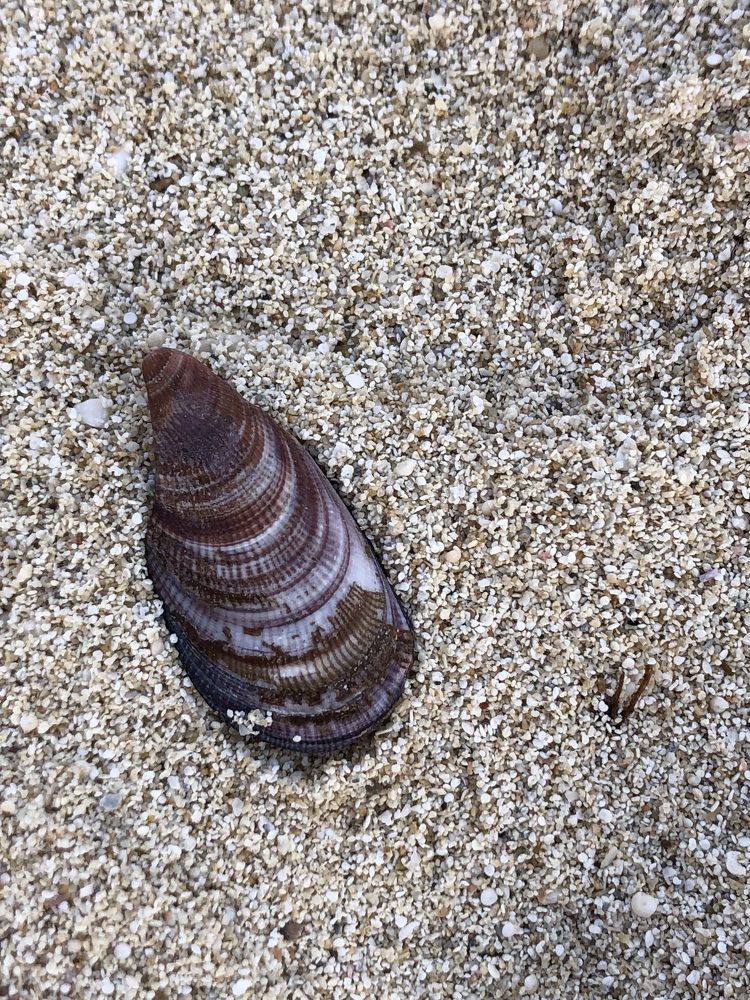 Photograph by Anna Poponina