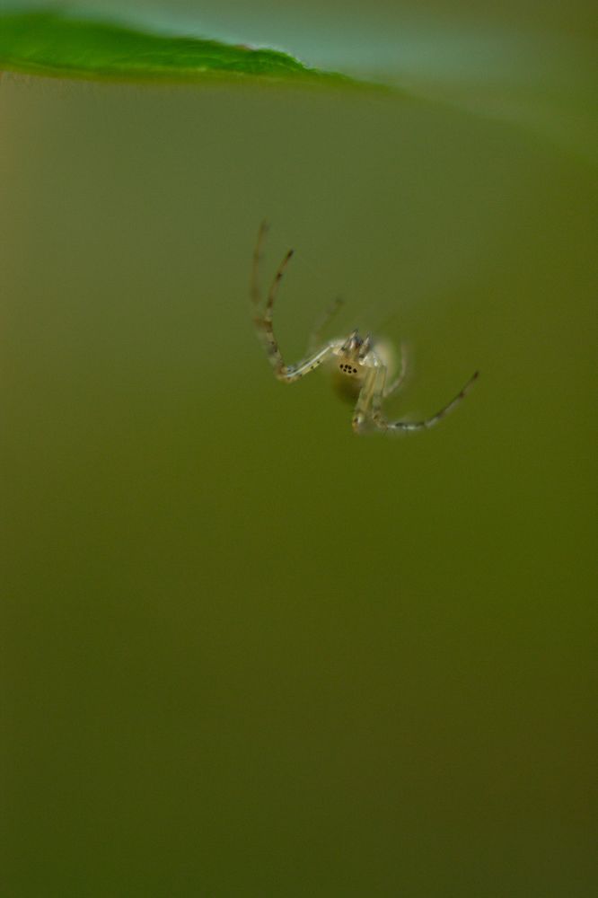 Photograph by Дарья Улюсова