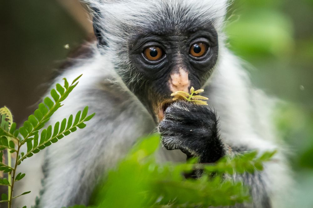 Photograph by Алексей Мараховец