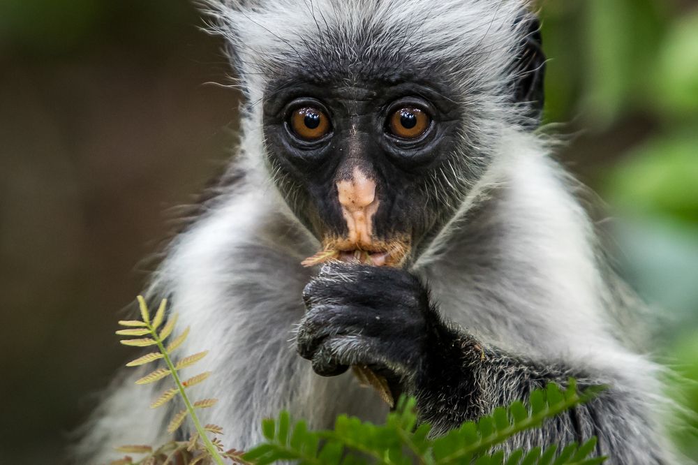 Photograph by Алексей Мараховец