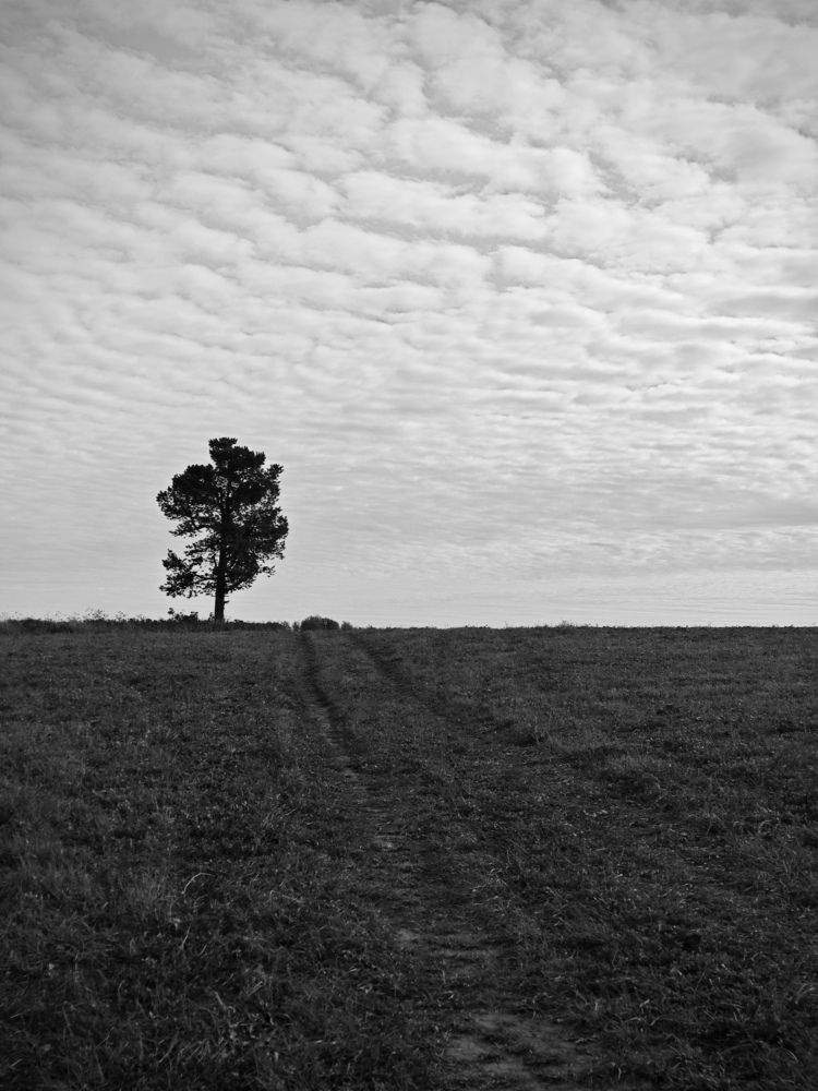 Photograph by Надежда Кангина