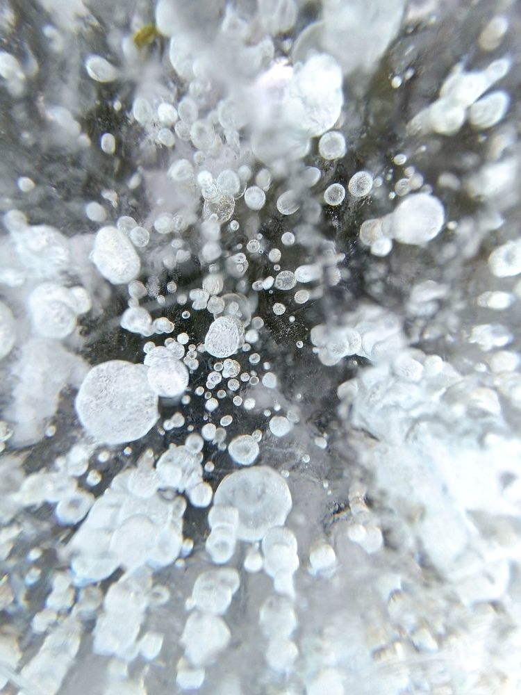 Photograph by Елена Муковникова