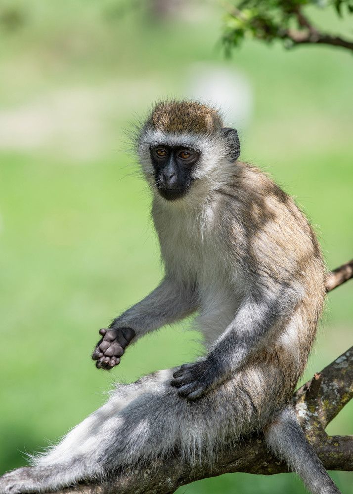 Photograph by Kevin Kipruto