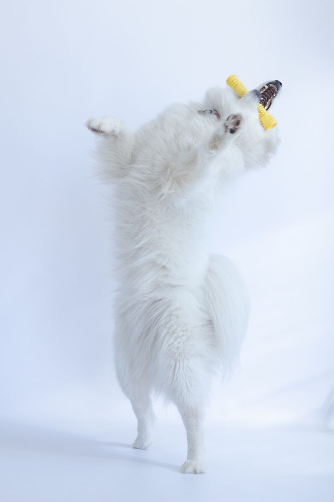 Photograph by Анна