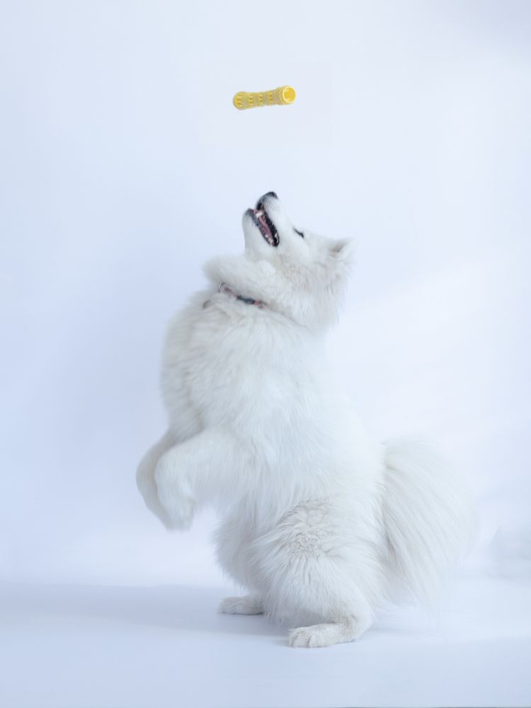 Photograph by Анна