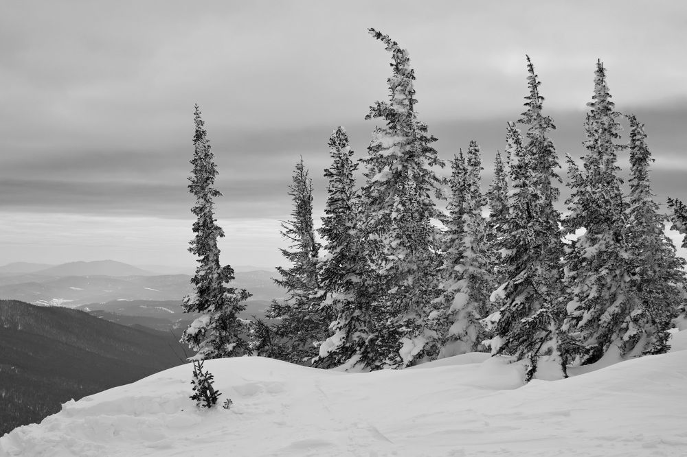 Photograph by Волынский Виктор