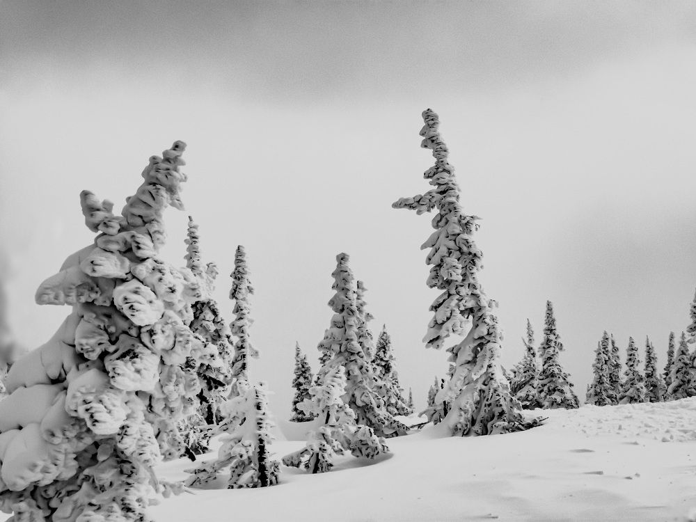 Photograph by Волынский Виктор