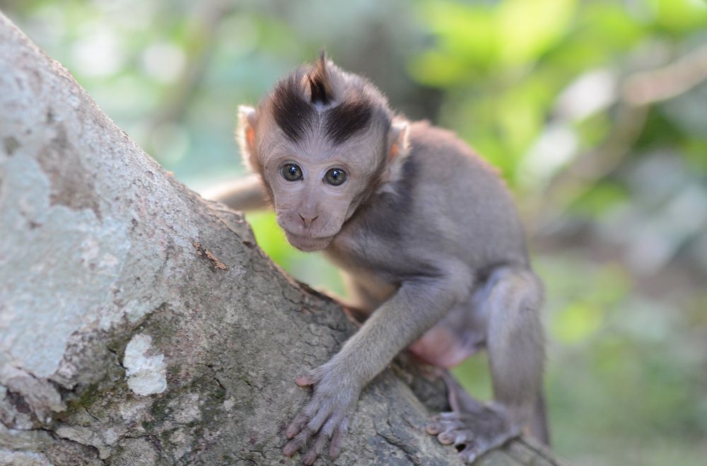 Photograph by Gurdina Lena