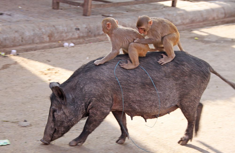 Photograph by Gurdina Lena