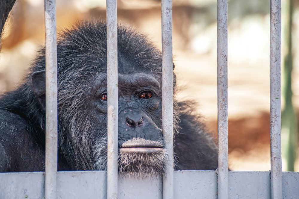 Photograph by DAMOUN POURNEMATI