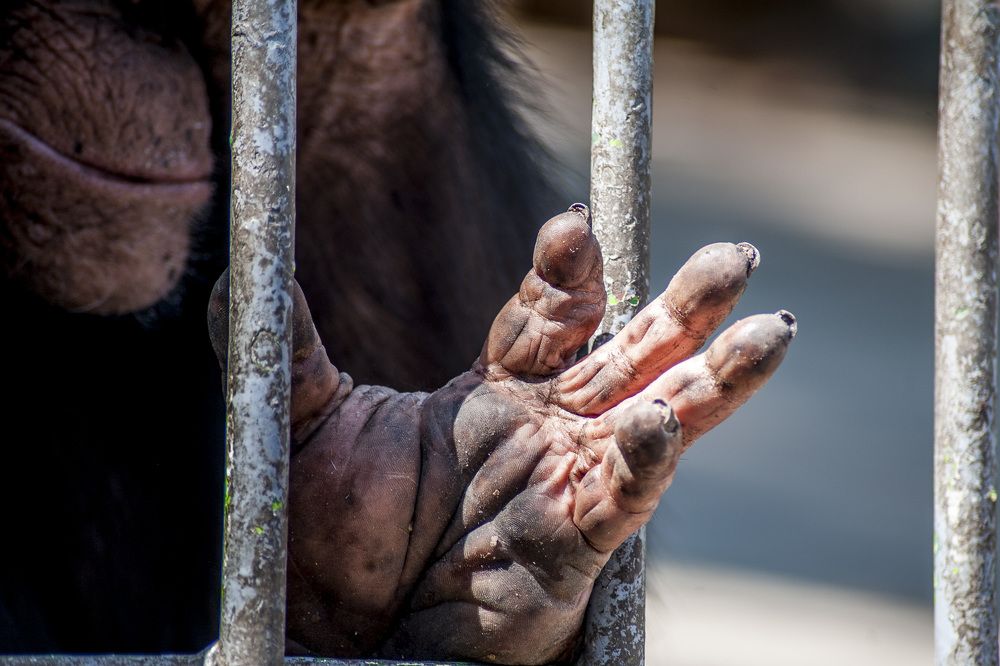 Photograph by DAMOUN POURNEMATI