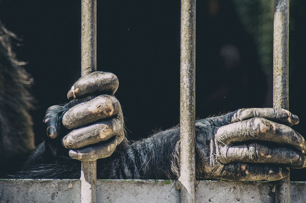 Photograph by DAMOUN POURNEMATI