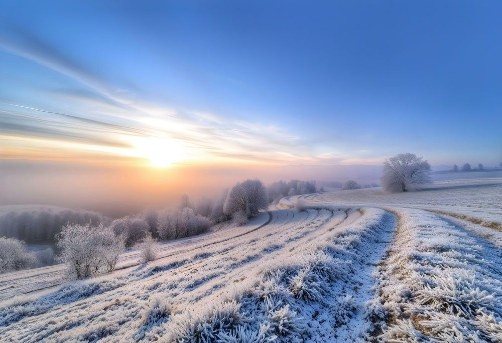 Photograph by Максим Кольцов