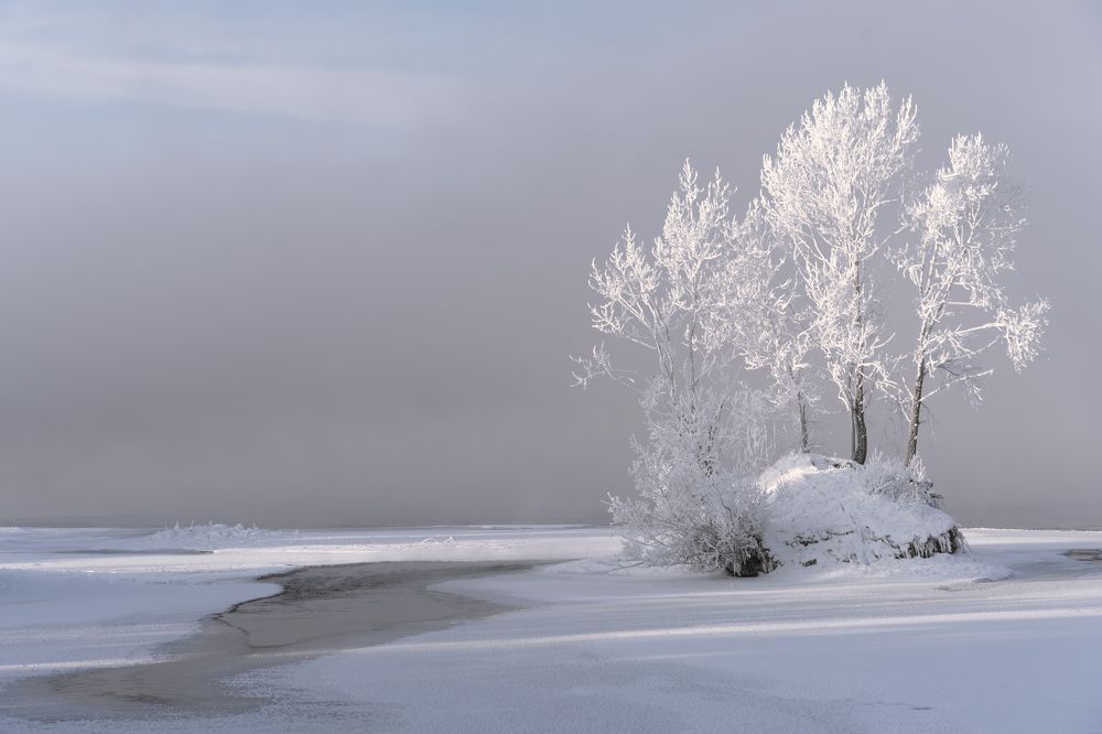 Photograph by Дубровская Екатерина